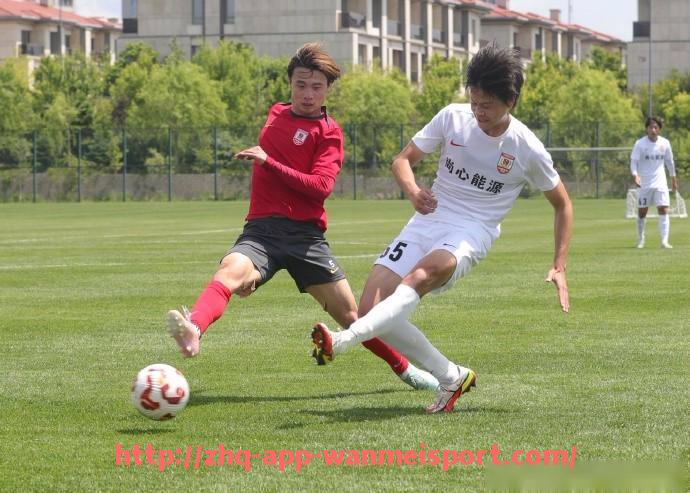 完美体育官方入口-英超球队粤语译名大全与球迷昵称趣解