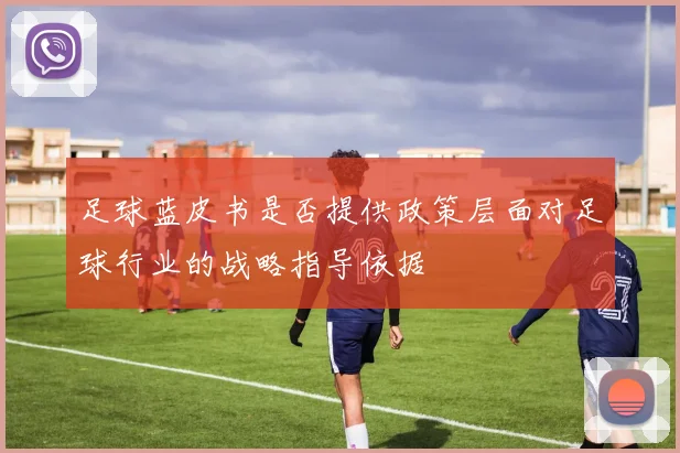 足球蓝皮书是否提供政策层面对足球行业的战略指导依据