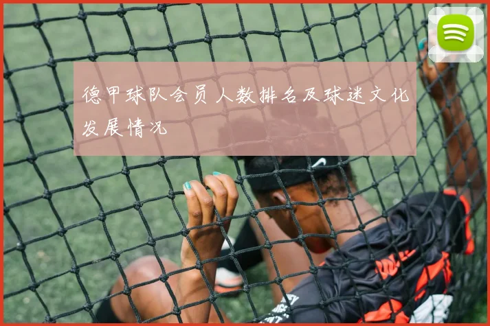 德甲球队会员人数排名及球迷文化发展情况