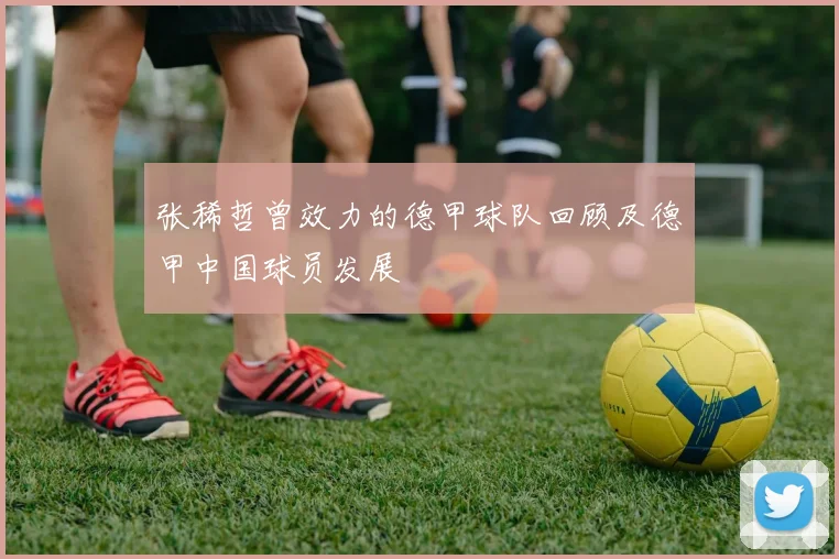 张稀哲曾效力的德甲球队回顾及德甲中国球员发展