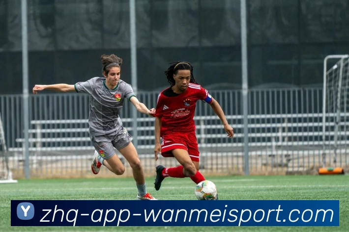 完美体育APP 封面图